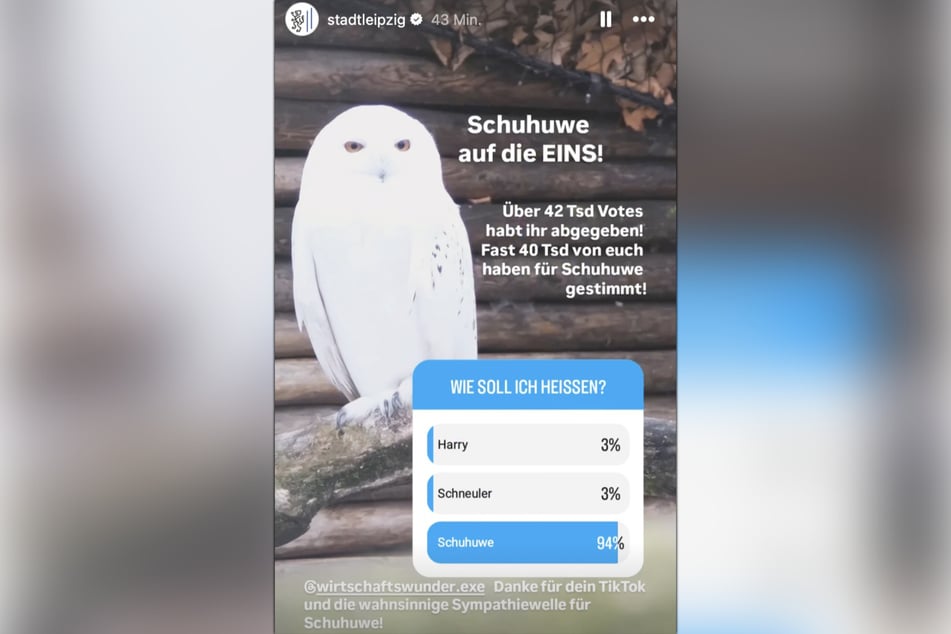 Am Freitagnachmittag stand offiziell fest: Die Eule heißt "Schuhuwe".