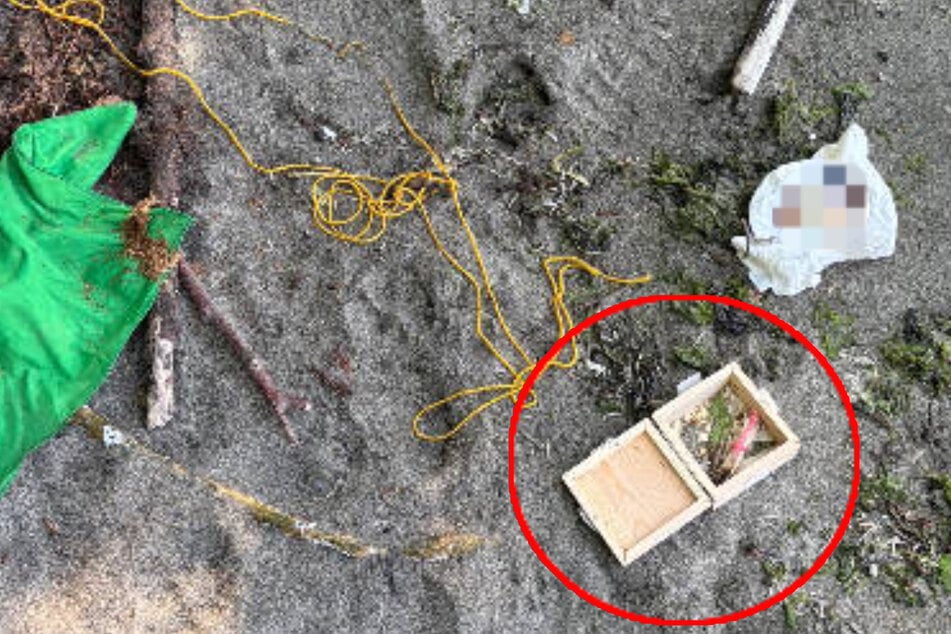 Hombre pasea por la playa y encuentra caja de regalo con restos humanos.