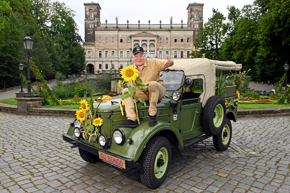 Für die Dresdner Schlössernacht schmückt Frank Rotzsch (69) alias DJ Bongo sein Bongomobil mit Sonnenblumen.