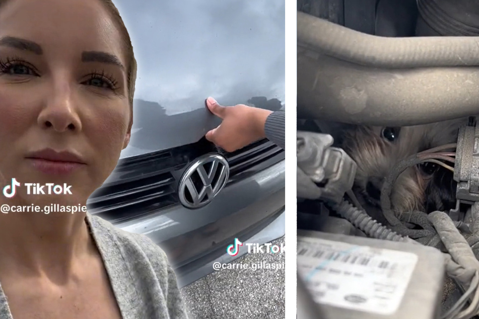 Carry Gillaspie (l.) rief umgehend die Besitzerin des Volkswagens zur Hilfe, denn: Im Motorraum versteckte sich die kleine Hundedame "BonBon".