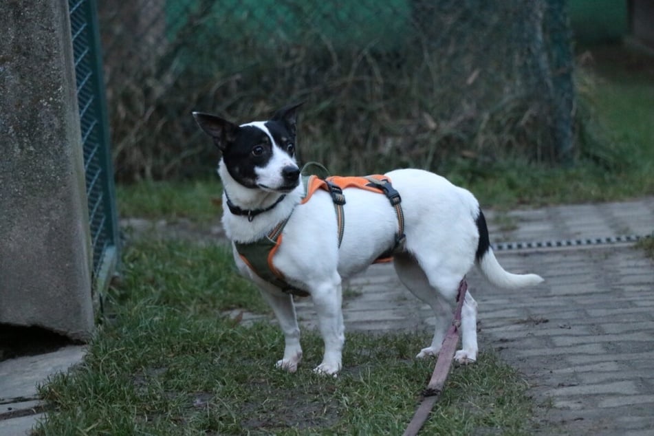 Gertrude braucht vor allem Zeit, um Vertrauen aufzubauen.