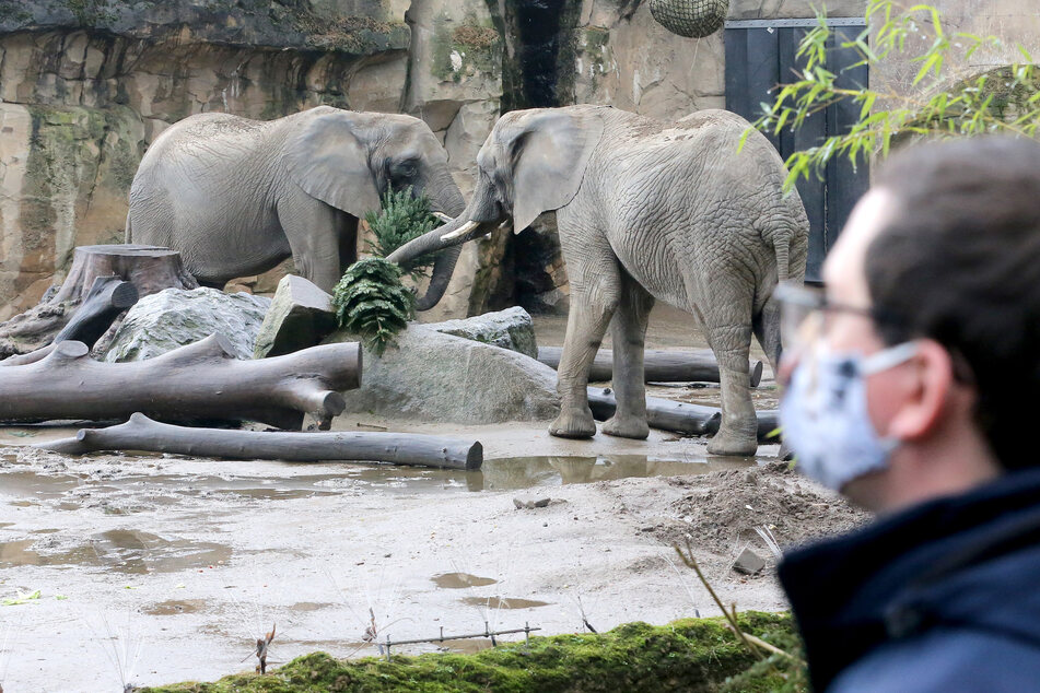 Im Zuge des ersten Lockdowns im Frühjahr 2020 hatte das Land für öffentliche und private Zoos oder Tierparks bereits 11,8 Millionen Euro bereitgestellt.