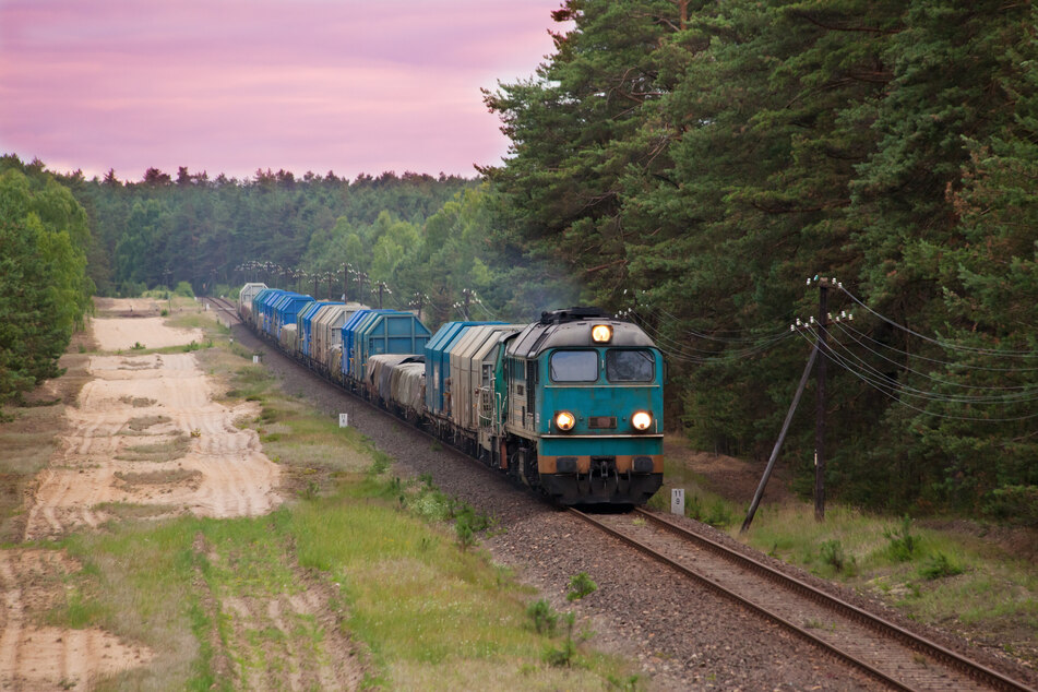 Auch ein Güterzug wurde am gestrigen Sonntag während der Fahrt gestoppt. (Symbolfoto)