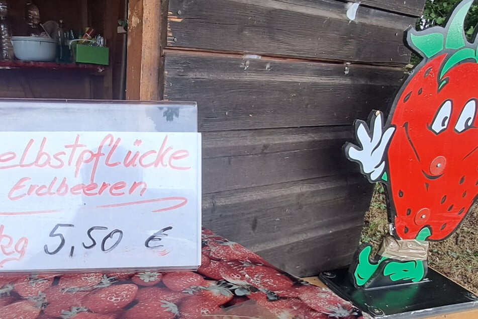 Mittlerweile sind es 5,50 Euro. Ein Preis, bei dem viele ins Überlegen kommen.