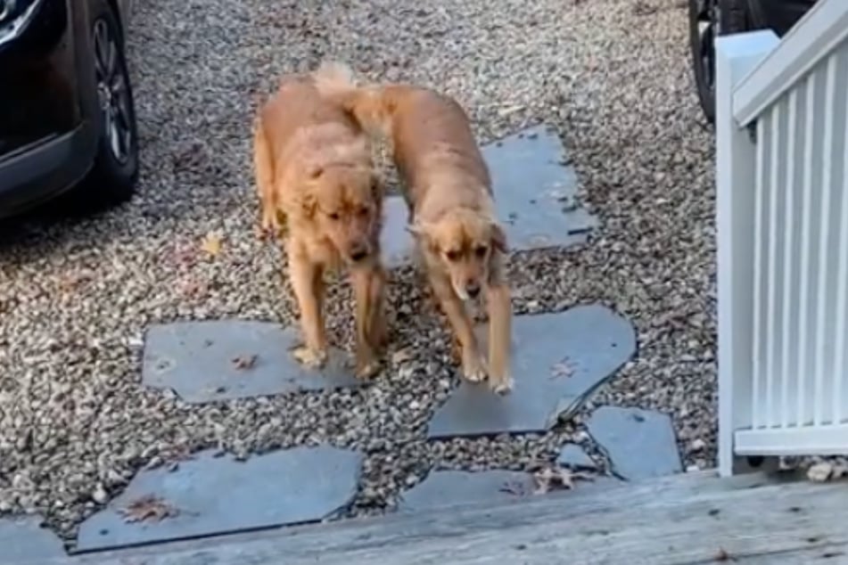 Endlich vereint! Benny und Freundin Quincy freuen sich diebisch auf die gemeinsame Zeit.