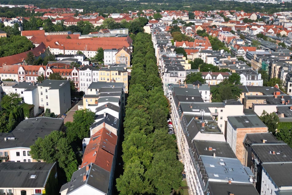Streit in Straßenbahn eskaliert: Männer schlagen mit Flasche auf Jugendliche ein
