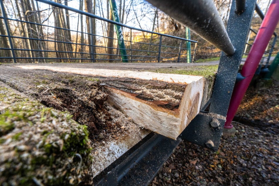 Ob noch mehr Balken ausgetauscht werden müssen, werde geprüft. Foto: Kristin Schmidt