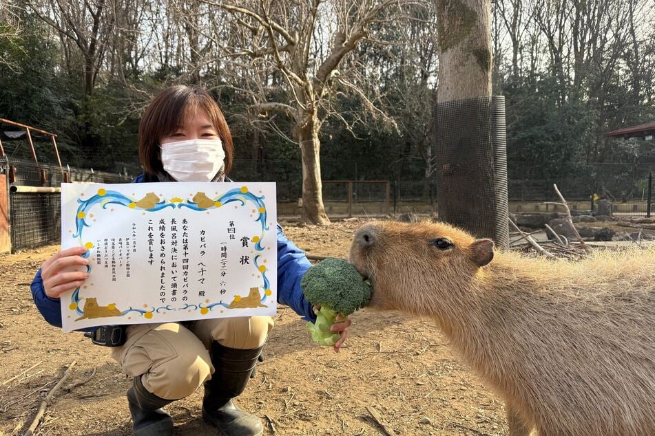 Hechima, Publikumsliebling und Favoritin, landete diesmal nur auf Platz vier.