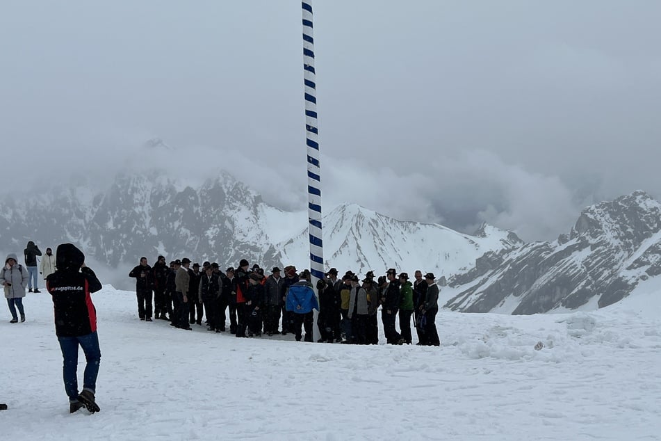 30 Burschen aus Grainau haben den Maibaum im Schnee auf Deutschlands höchstem Berg aufgestellt.