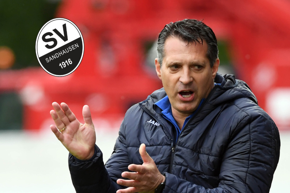 Neuer Trainer für den SVS: Sandhausen holt alten Bekannten