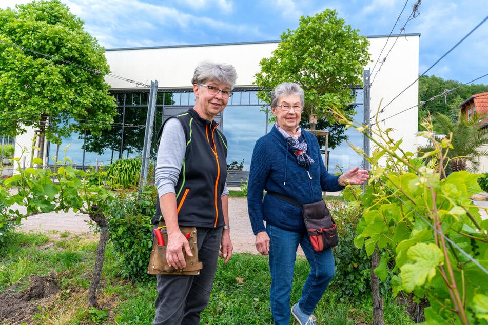 Weinguts-Geschäftsführerin Andrea Leder (l.) und Gründerin Ingeborg Probocskai leiten die Geschicke des Weinguts Matyas gemeinsam.