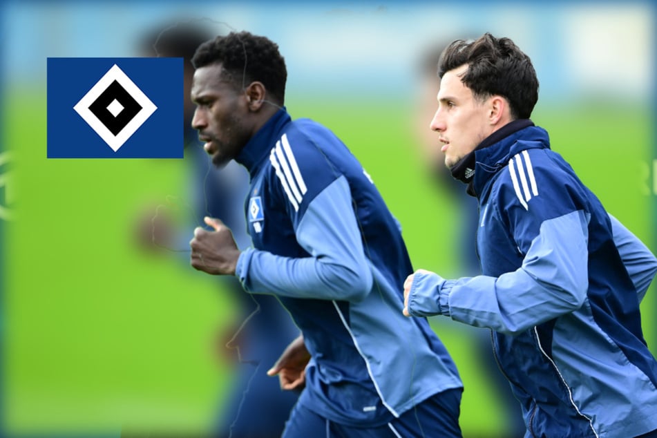 HSV-Blog: Capaldo weiter fraglich, Duo fällt sicher aus