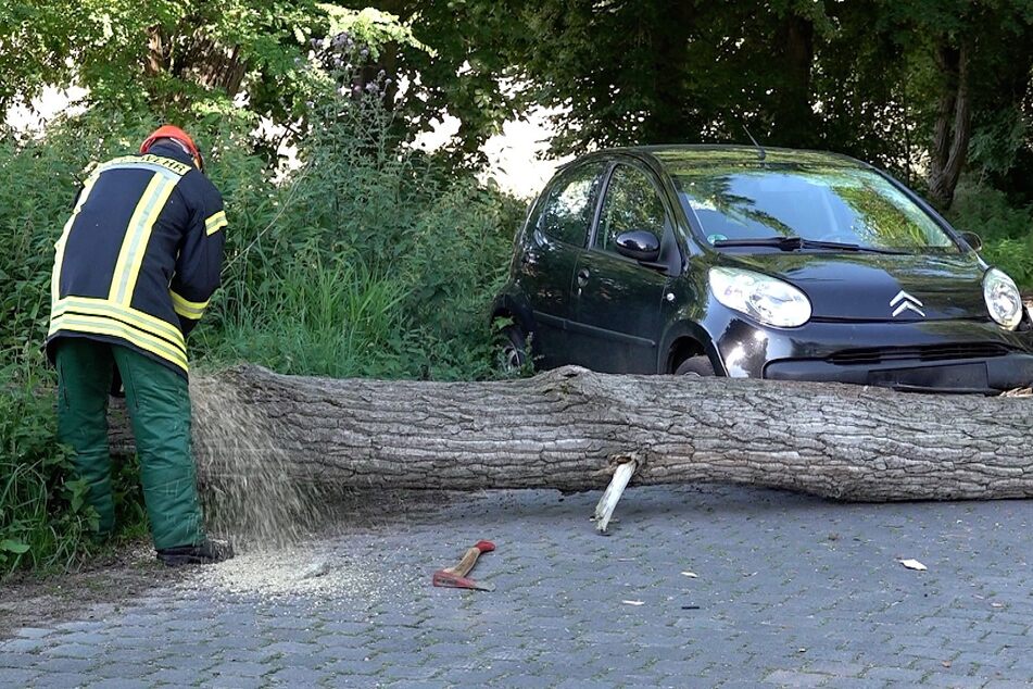 Nur wenige Zentimeter vor dem Citroen krachte die Pappel auf den Boden.