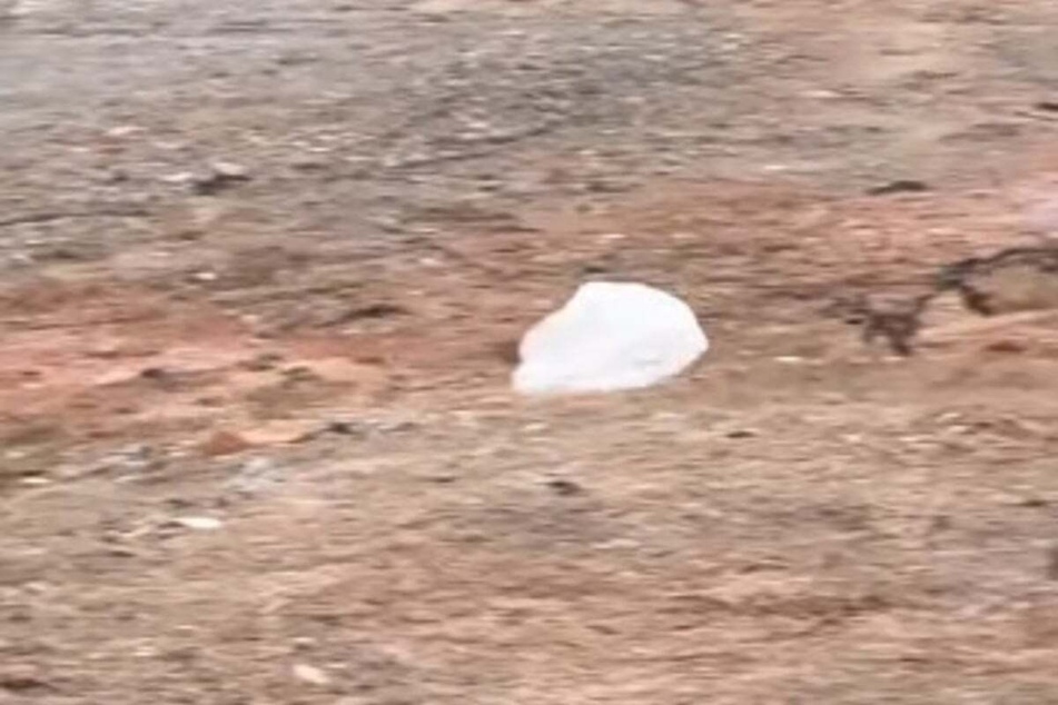 Bear's target was revealed later on in the TikTok: a floating plastic bag!