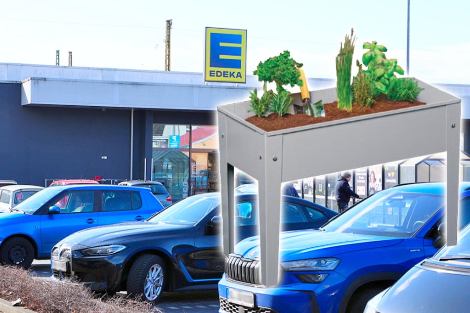 Diese Highlights für Garten und Balkon locken Kunden jetzt zu EDEKA