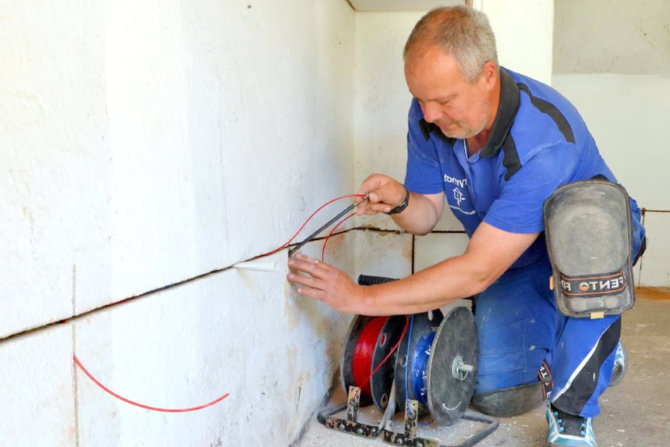 Trockenlegungs-Spezialist aus Sachsen macht gerade dieses super Angebot