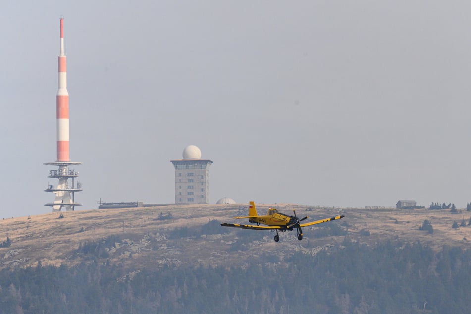 Das Löschflugzeug "Hexe" hat sich laut dem Landkreis Harz bei mehreren Waldbrand-Einsätzen bewährt. (Archivbild)