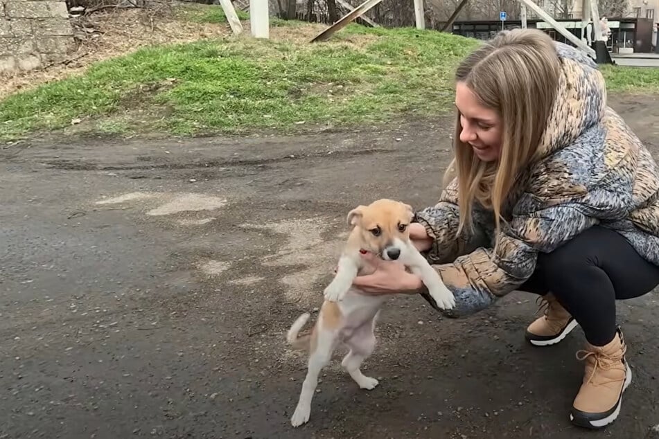 Frau findet Welpen: Doch sie hat sofort einen Verdacht