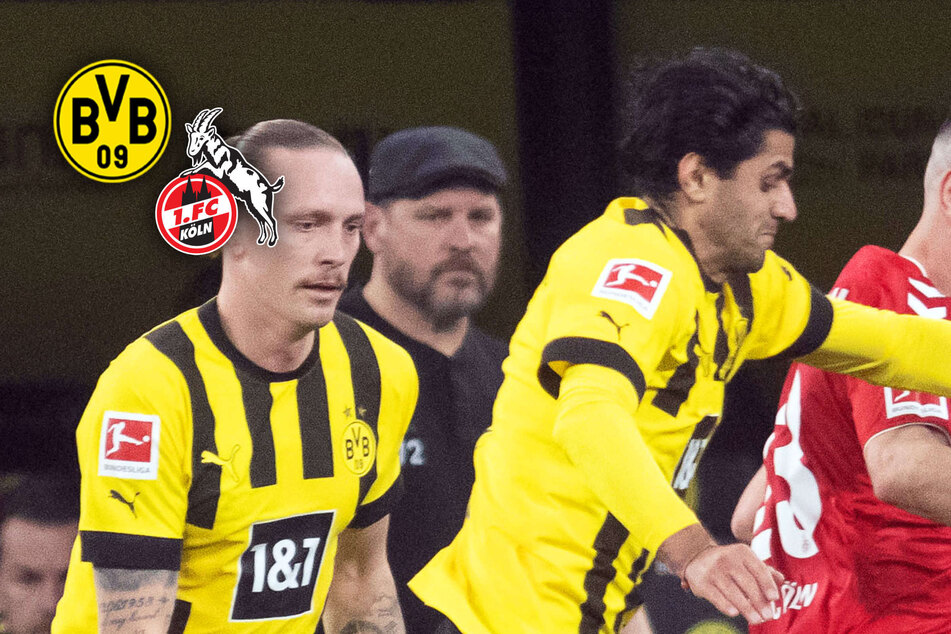 Handspiel gegen den 1. FC Köln: Ex-Referee Sippel räumt Fehlentscheidung ein