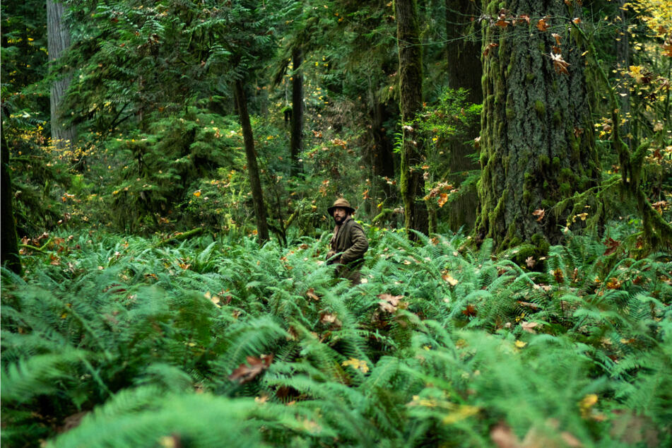 Otis "Cookie" Figowitz (John Magaro, 38) sammelt im dichten Wald in Oregon Pilze.