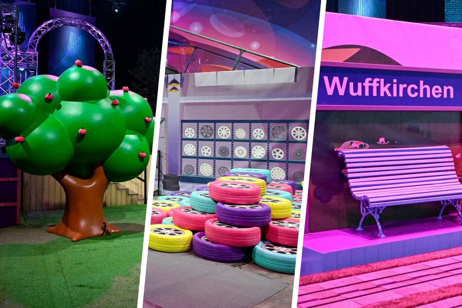 Mit drei neuen Hindernissen geht die neue Staffel von "Top Dog Germany" an den Start.