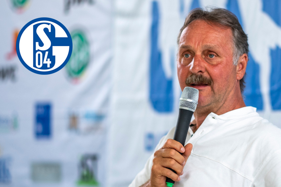 "Betrug am Fan": Trainer-Urgestein giftet gegen Schalke-"Amateure"!