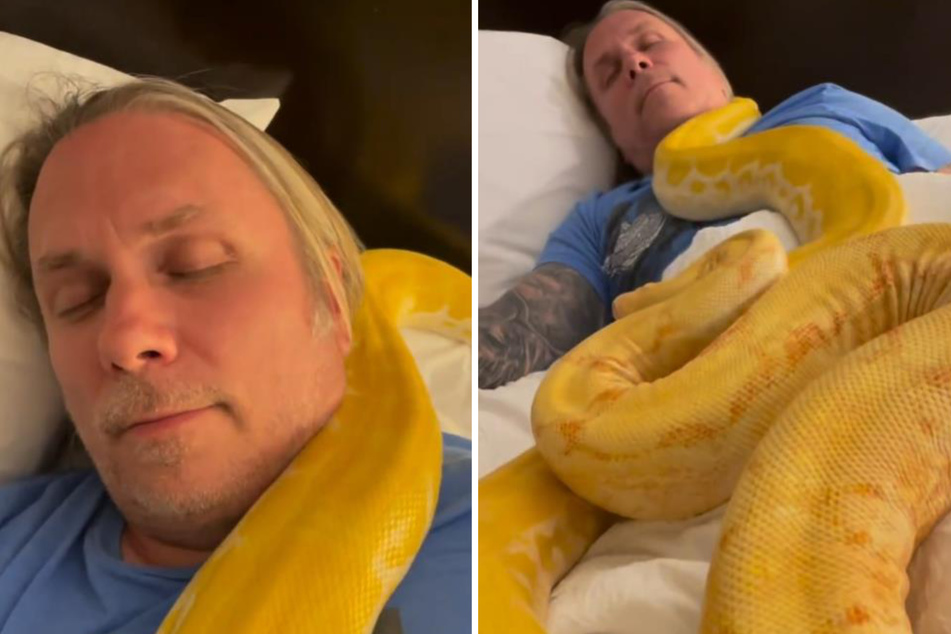 Mann schläft seelenruhig während zwei riesige Schlangen an ihm hochkriechen