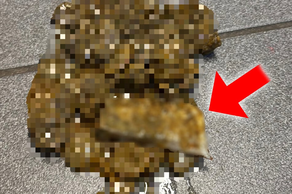 Die Old-English-Bulldoggen-Dame musste sich beim Tierarzt mehrfach übergeben, wobei auch ein großes Stück Speckschwarte zum Vorschein kam.