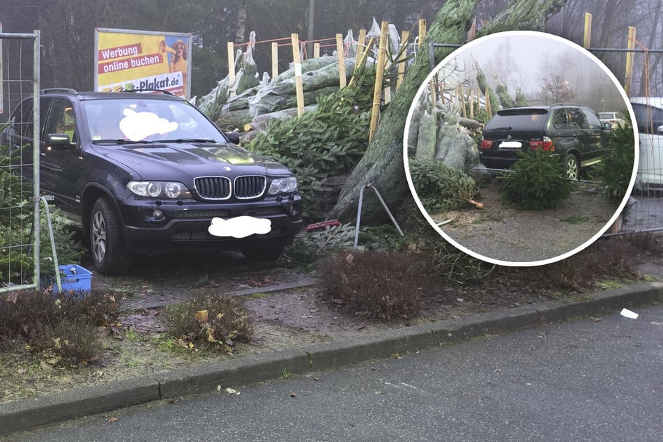 Fahrer wollte einparken: SUV kracht in Verkaufsstand für Weihnachtsbäume