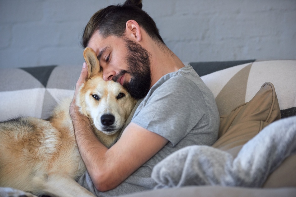 Vermieter können nur mit triftigen Gründen verhindern, dass Mensch und Hund gemeinsam in einer Wohnung leben.