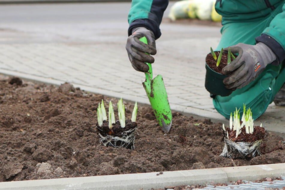 Die richtigen Arbeitsbedingungen sind der ideale Nährboden für erfülltes Arbeitsleben.