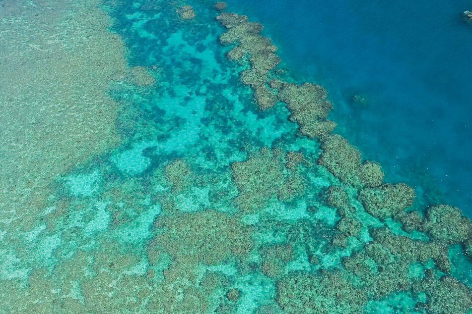 The Great Barrier Reef is so big it can be seen from space.