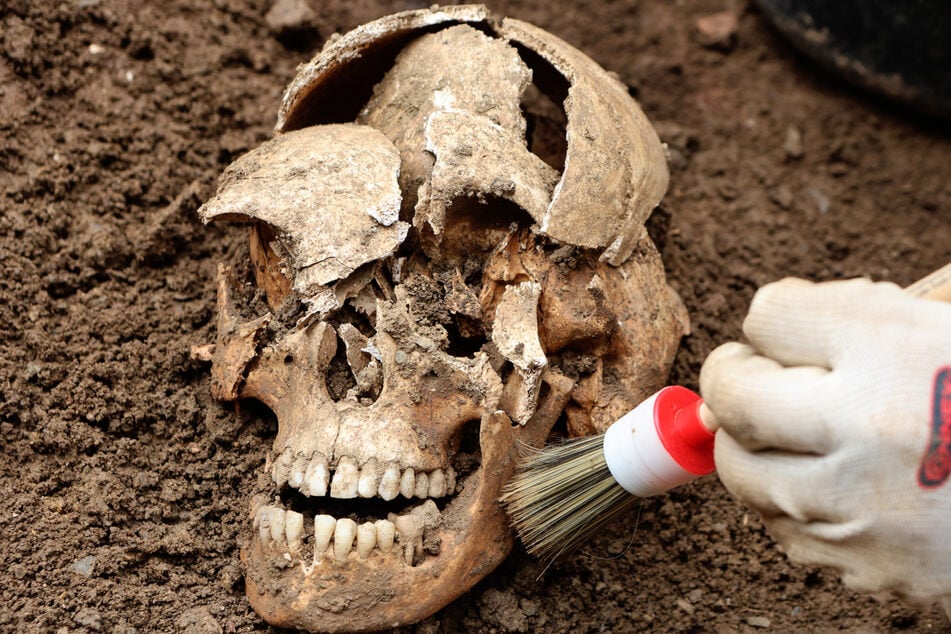 Verschwundener Schädel nach Monaten wieder aufgetaucht