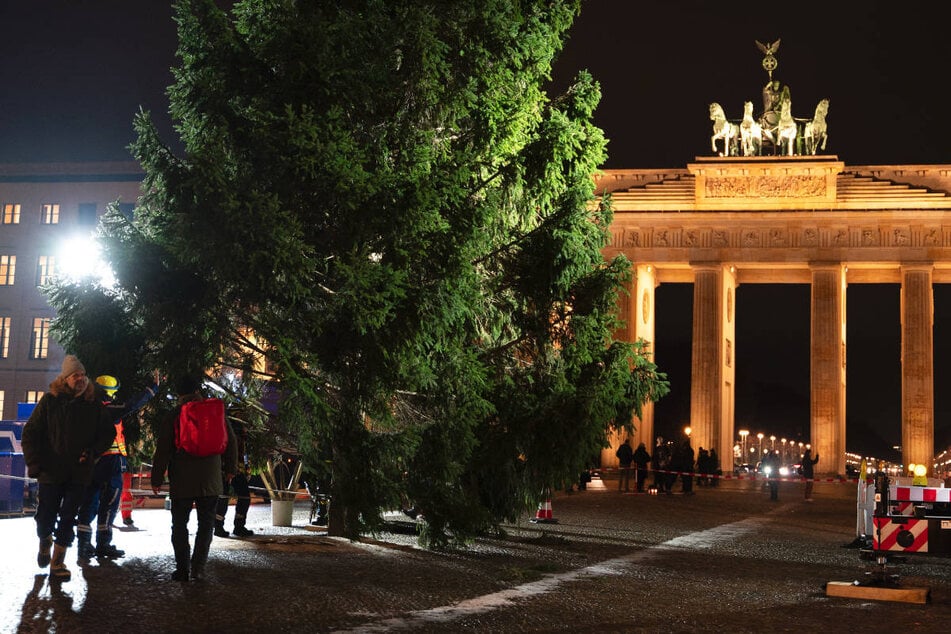 Berlin: Weihnachts-Tanne steht trotz Panne am Brandenburger Tor