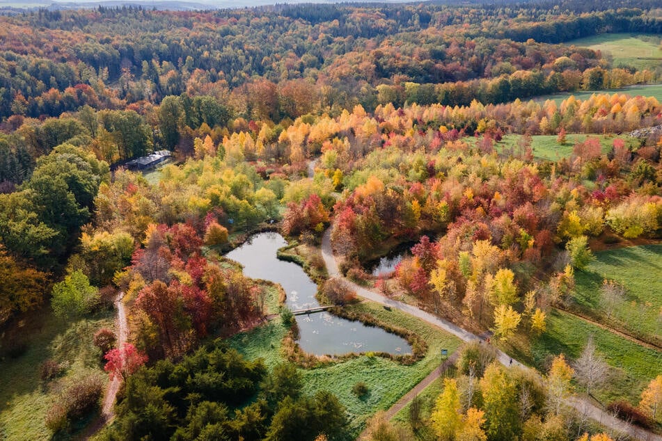 Der Forstbotanische Garten Tharandt wurde 1811 gegründet und zählt zu den ältesten wissenschaftlichen Gehölzsammlungen der Welt.