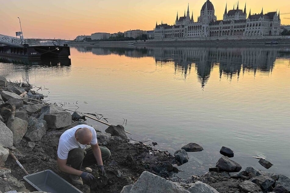 Durch den niedrigen Wasserstand der Donau wurden zahlreiche Relikte aus dem Zweiten Weltkrieg freigelegt.