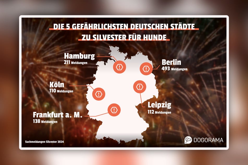 In diesen fünf deutschen Städten leiden die Hunde an Silvester besonders.