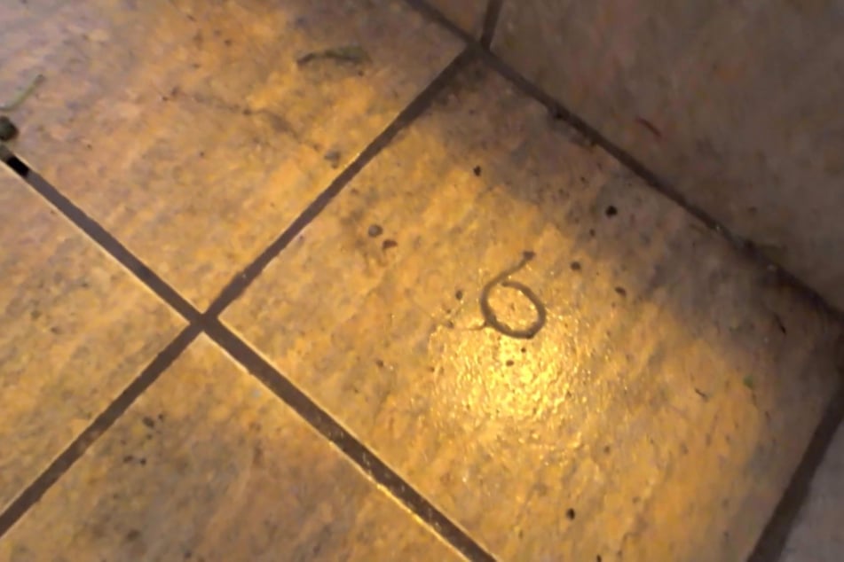 Die Hygiene im Badezimmer lässt zu wünschen übrig.