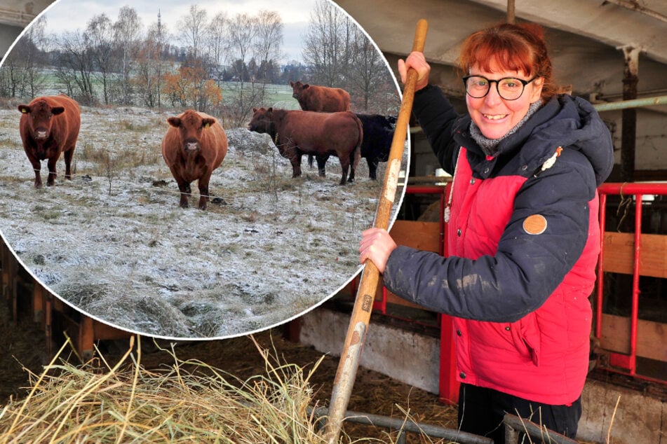 Chemnitz: Darum feiert der Natur-Hof Chemnitz sein Jubiläum eher leise