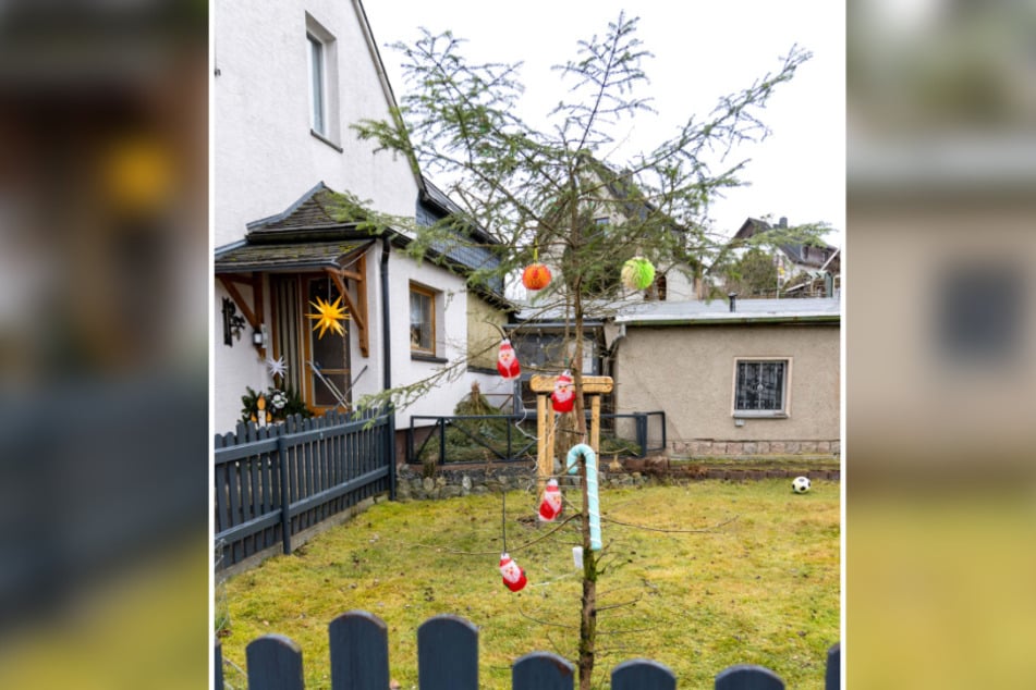 Einer der Kandidaten ist dieses Exemplar: "Merry Fichtmas".