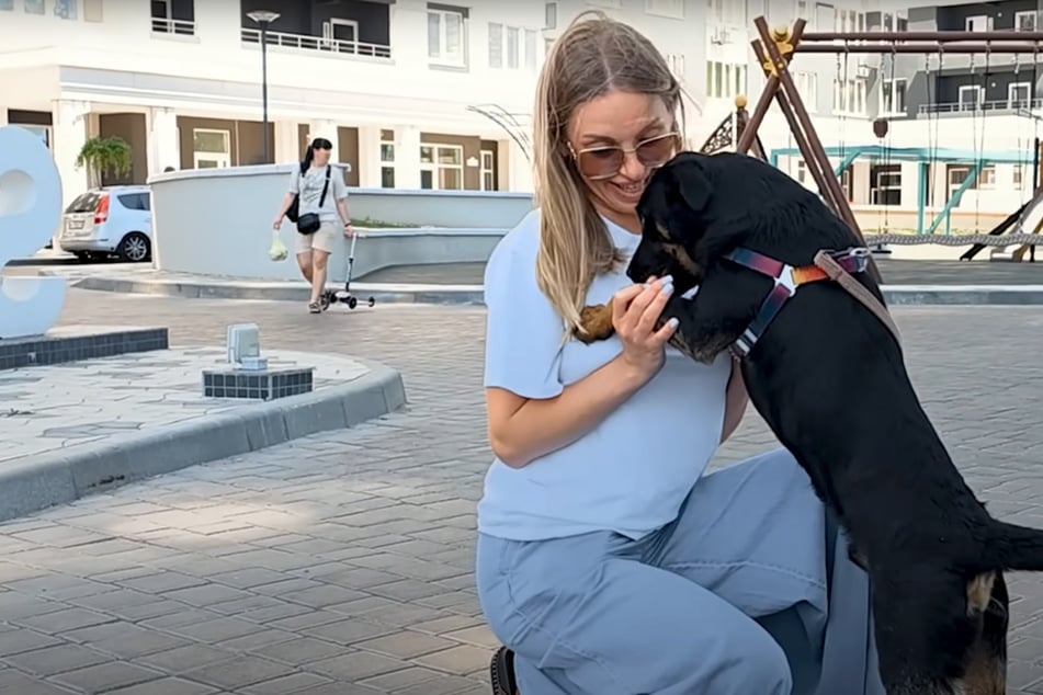 Una mujer dice algunas frases a un perro abandonado: Cómo reacciona le sorprende