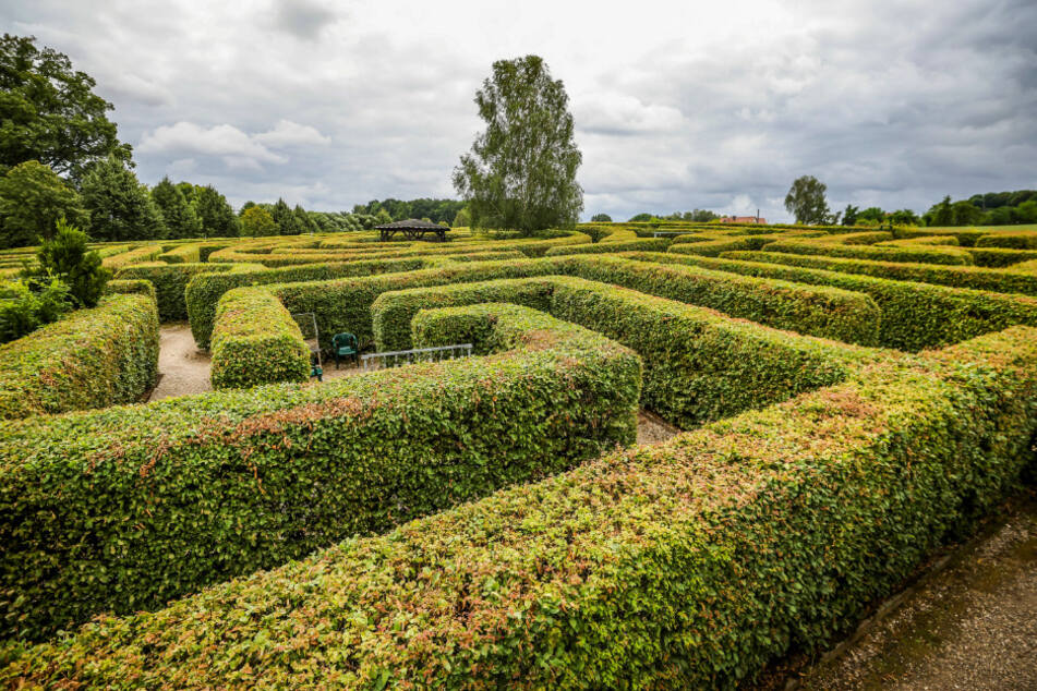 Findet Ihr den Weg aus dem Labyrinth?