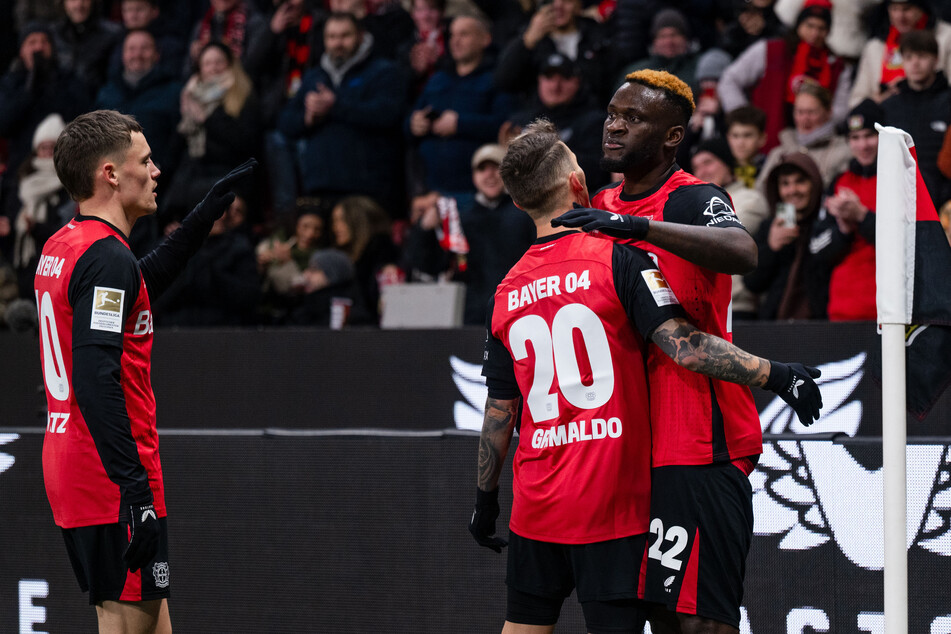 Victor Boniface (24, r.) stand überraschend in der Startelf gegen Hoffenheim und traf direkt zum 1:0.