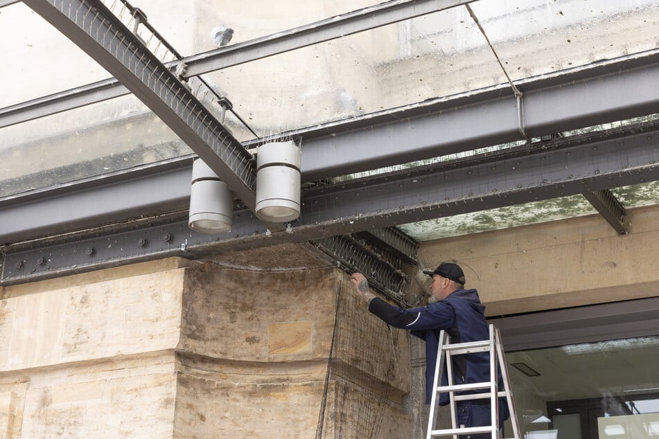 Hier wird ein neues Taubenschutznetz installiert.