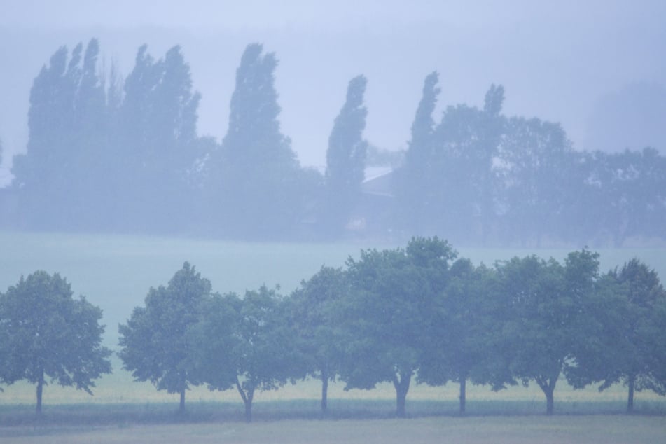 In Mecklenburg-Vorpommern wird heftiger Starkregen erwartet. Die Menge könnte sich auf dem Niveau der Flutkatastrophe im Ahrtal bewegen. (Symbolfoto)