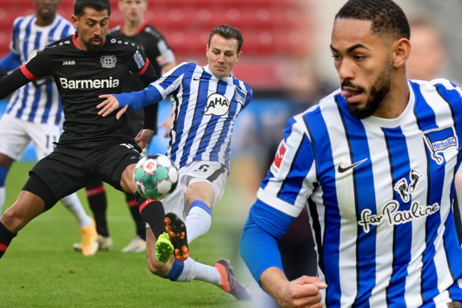 Vladimir Darida (l.) und Matheus Cunha (r.) drohen das wichtige Spiel beim 1. FC Köln zu verpassen.