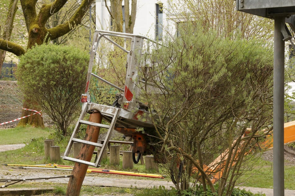 Ein Mann (44) stürzte bei Baumfällarbeiten ab und verletzte sich schwer.