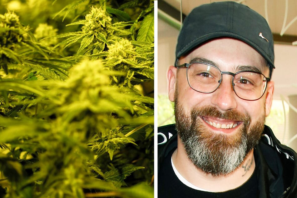 Sido verkauft jetzt Gras: Rapper steigt ins Cannabis-Business ein