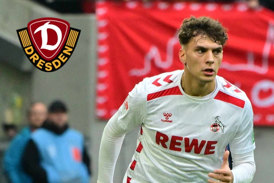 Gleich Startelf, Bank oder Tribüne? Stamm überlegt bei Dynamo-Neuzugang Pauli noch