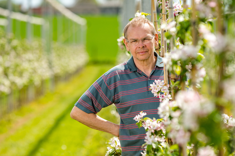 Für den Obstgarten von Steffen Geisler (67) sind Bienen unverzichtbar.